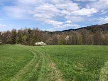 Prodej louky, Frýdlant nad Ostravicí, 44238 m2