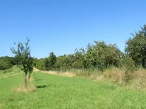 Dražba pozemku, Nové Strašecí, 5768 m2