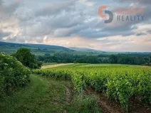 Prodej sadu/vinice, Klentnice, 4733 m2