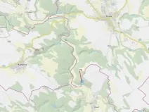 Dražba lesa, Pyšel, 6602 m2