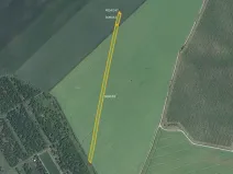Prodej pole, Čejkovice, 3169 m2