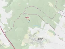 Dražba lesa, Veverské Knínice, 3926 m2