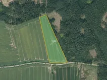 Prodej pole, Myslkovice, 21400 m2