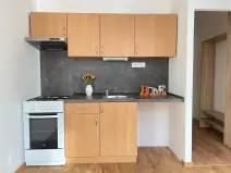 Pronájem bytu 1+1, Litvínov, Čapkova, 37 m2