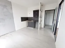 Prodej bytu 1+1, Most, Růžová, 33 m2