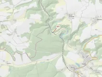 Dražba lesa, Plasy, 1287 m2