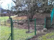 Prodej zahrady, Kunratice u Cvikova, 765 m2