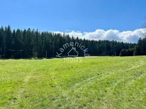 Prodej pozemku pro bydlení, Černá v Pošumaví, 3027 m2