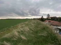 Dražba pole, Židovice, 123 m2