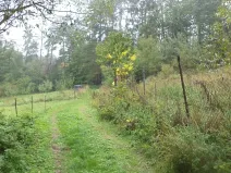 Dražba louky, Biskupice-Pulkov, 986 m2