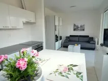 Pronájem bytu 1+kk, Vestec, U Hrubých, 35 m2