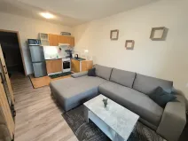 Pronájem bytu 1+kk, Ústí nad Labem, Baráčnická, 33 m2