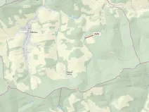 Dražba lesa, Zděchov, 1866 m2