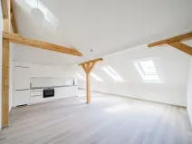Pronájem bytu 3+kk, Praha - Nové Město, Václavské náměstí, 92 m2