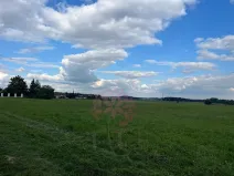 Prodej pozemku pro bydlení, Jirny, V Zahradách, 6974 m2