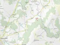 Dražba lesa, Vilice, 1105 m2