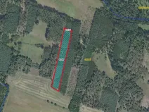 Prodej lesa, Sokoleč, 9084 m2