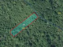 Prodej lesa, Třebenice, 1475 m2