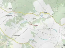 Dražba lesa, Přemyslovice, 1280 m2