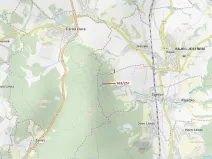 Dražba lesa, Spešov, 2643 m2