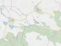 Dražba lesa, Dolní Vilémovice, 1134 m2