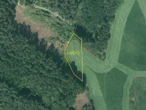 Prodej pole, Bělá nad Radbuzou - Čečín, 1954 m2