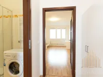 Pronájem bytu 1+kk, Praha - Vysočany, Freyova, 33 m2