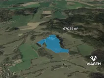 Prodej podílu lesa, Nechvalice, 33517 m2