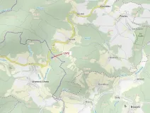 Dražba lesa, Vranová Lhota, 5978 m2