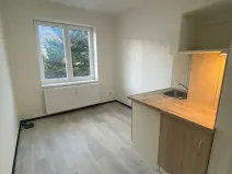 Pronájem bytu 1+kk, Praha - Hlubočepy, Na Zlíchově, 20 m2