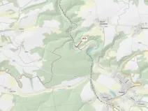 Dražba lesa, Plasy, 1287 m2