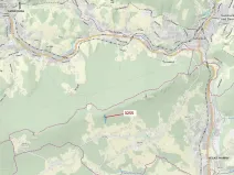 Dražba lesa, Velké Hamry, 6125 m2