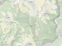 Dražba lesa, Jílové u Držkova, 151 m2