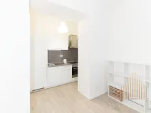 Pronájem bytu 2+kk, Praha - Nusle, Mečislavova, 50 m2