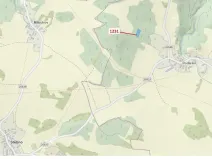 Dražba lesa, Stebno, 1462 m2