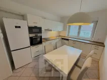 Pronájem atypického bytu, Praha - Stodůlky, Frimlova, 196 m2