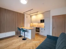 Pronájem bytu 2+kk, Brno - Staré Brno, Ghegova, 51 m2
