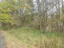 Prodej pozemku, Aš, 1691 m2