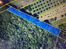 Prodej lesa, Březolupy, 1340 m2