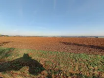 Prodej pole, Leština u Světlé, 3848 m2