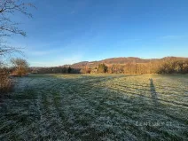 Prodej komerčního pozemku, Velká Bukovina, 20188 m2