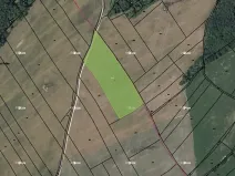 Prodej pole, Hvozdnice, 11689 m2