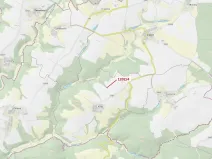 Dražba lesa, Čestín, 356 m2