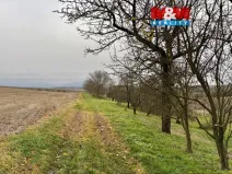 Prodej zahrady, Bezuchov, 901 m2