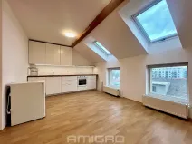 Pronájem bytu 2+kk, Brno, Reissigova, 47 m2