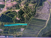 Prodej zahrady, Hustopeče, 4050 m2