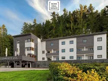 Prodej bytu 1+kk, Černá v Pošumaví, 28 m2