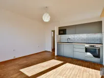 Pronájem bytu 2+kk, Ústí nad Labem, Brandtova, 43 m2