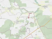 Dražba lesa, Osek, 301 m2