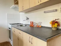 Pronájem bytu 1+1, Litvínov, Tylova, 38 m2